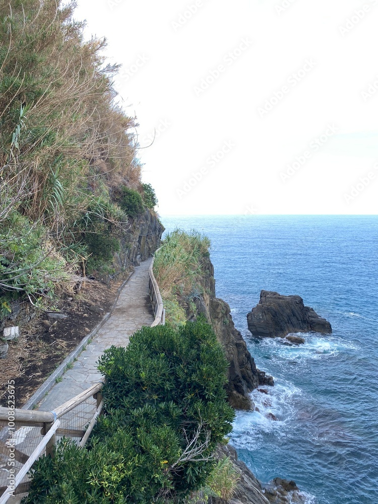 Cinque terre mountain village