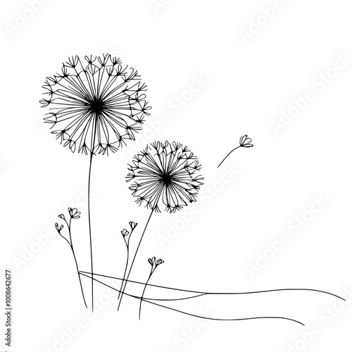 Linear vector contour drawing of blossoming dandelions with flying seeds.
