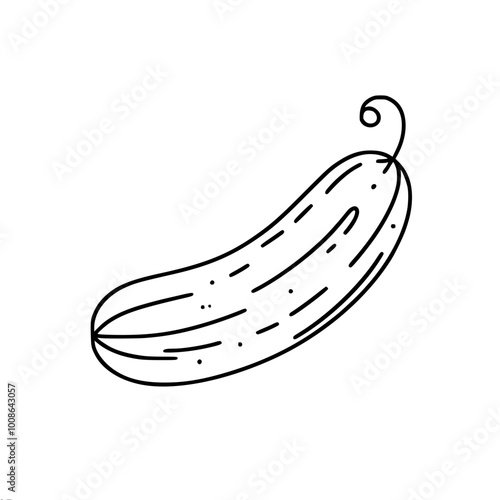 Linear vector contour drawing of a cucumber lying on the surface