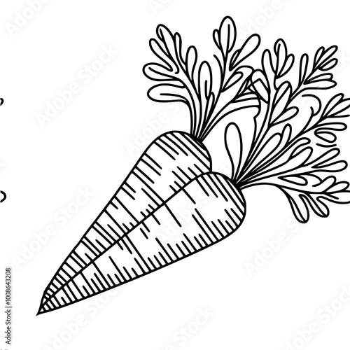 Linear vector contour drawing of two carrots with tops lying on the surface