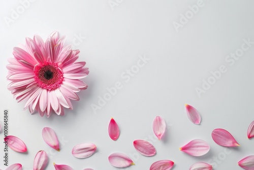 Creative Floral Arrangement: Artistic Pink Flower with Petal Patterns






