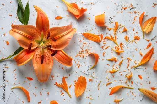 Creative Floral Design: Orange Lily with Artistic Petal Arrangement






