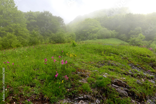 Gebirgslandschaft im Biogradska Gora Nationalpark, Montenegro // Mountain range in Biogradska Gora National Park, Montenegro photo