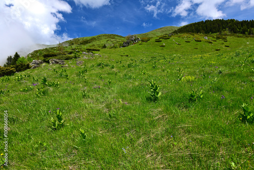 Gebirgslandschaft im Biogradska Gora Nationalpark, Montenegro // Mountain range in Biogradska Gora National Park, Montenegro