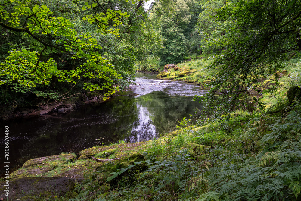 Walking along the river Wharfe in summer in Yorkshire, England Walking along the river Wharfe in summer in Yorkshire, England