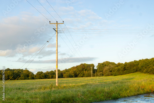 Wooden power poles with wires stretching across green field. Trees on horizon and river in foreground