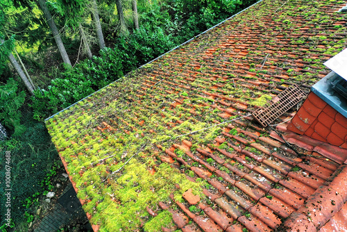 Moss growing on roof tiles making roof inspection necessary