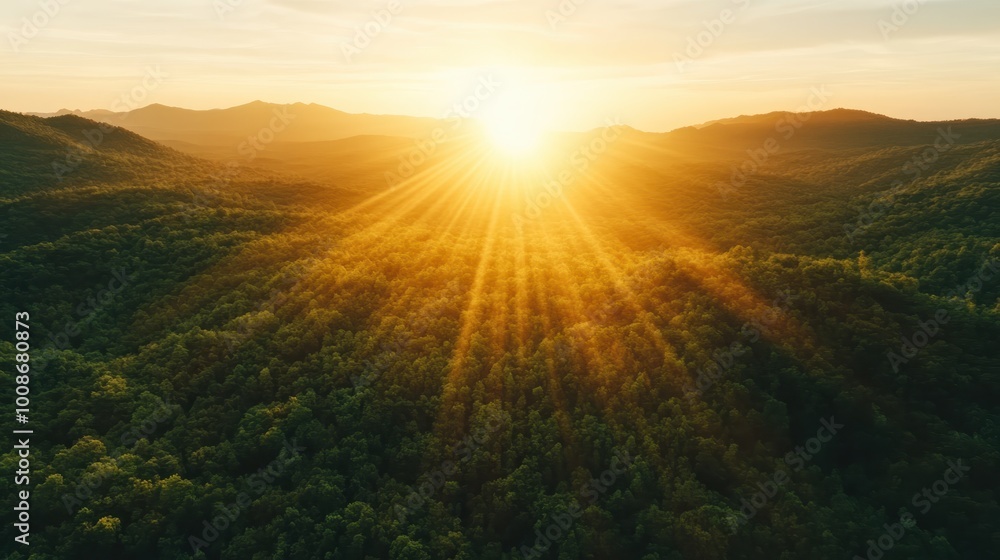 The golden sun sets over an expansive forest, casting warm, serene rays across the landscape, capturing the harmony and timeless beauty of nature’s grand vistas. The golden sun sets over an expansive forest, casting warm, serene rays across the landscape, capturing the harmony and timeless beauty of nature’s grand vistas.