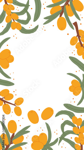 Sea Buckthorn Berries and Leaves Frame