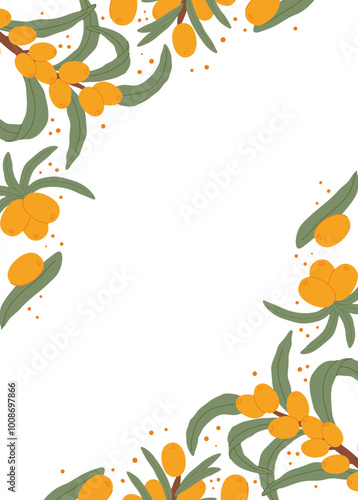 Sea Buckthorn Berries and Leaves Frame