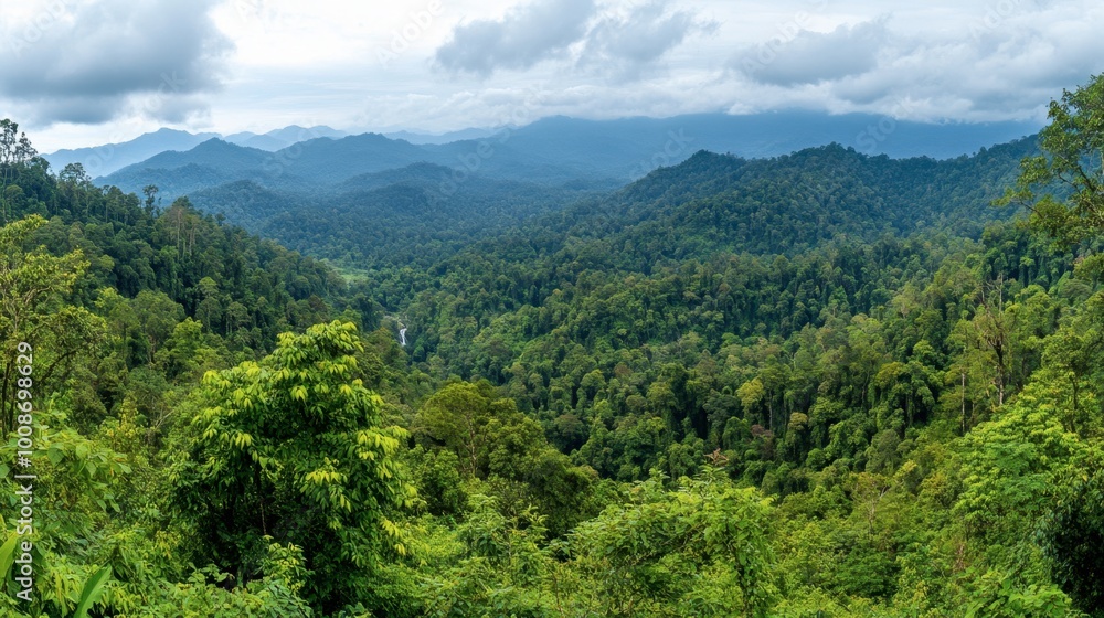 The lush, green landscapes surrounding Phu Pha Man National Park, perfect for trekking and exploring waterfalls. The lush, green landscapes surrounding Phu Pha Man National Park, perfect for trekking and exploring waterfalls.