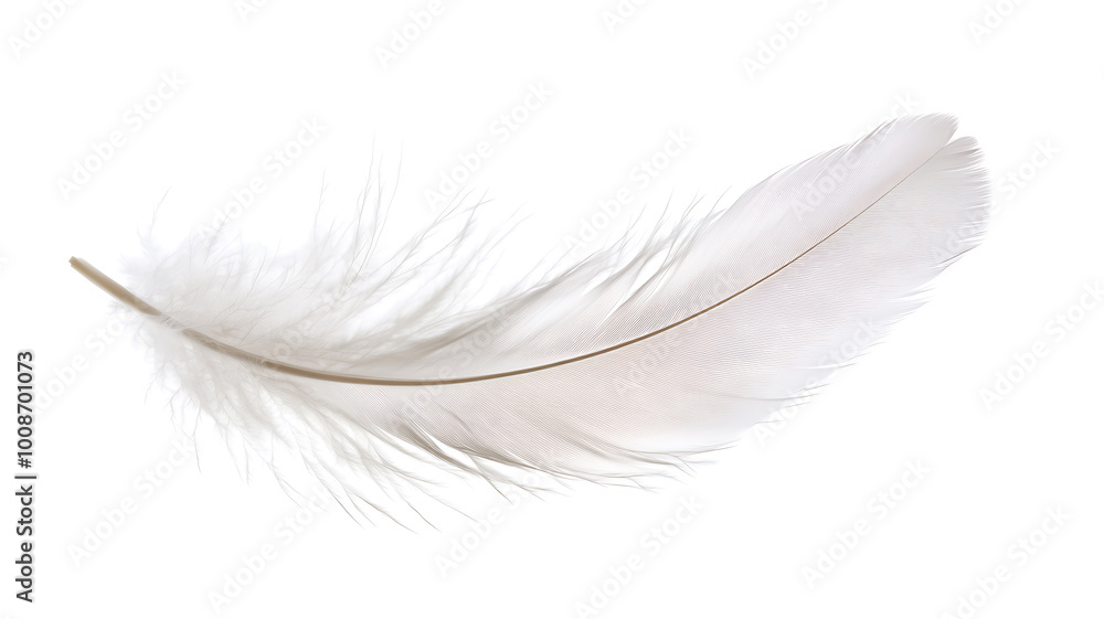 Obraz premium Of a delicate, transparent feather floating in the air, representing the lightness and purity of the soul, clean white background. 