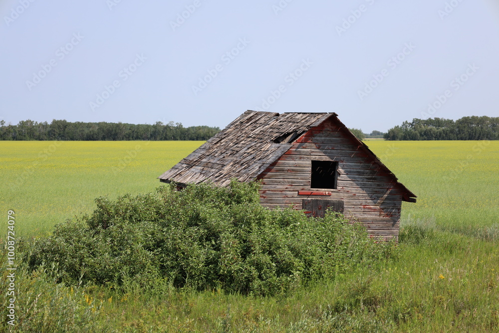 dilapidated farm utility building beside planted fields dilapidated farm utility building beside planted fields