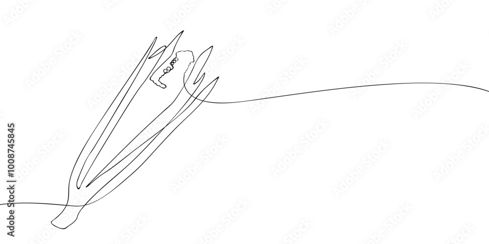 A single line drawing of a corn. Continuous line thanksgiving icon. One line icon. Vector illustration. A single line drawing of a corn. Continuous line thanksgiving icon. One line icon. Vector illustration.