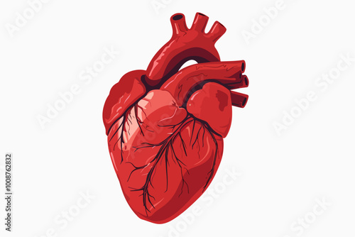 Illustration of a heart