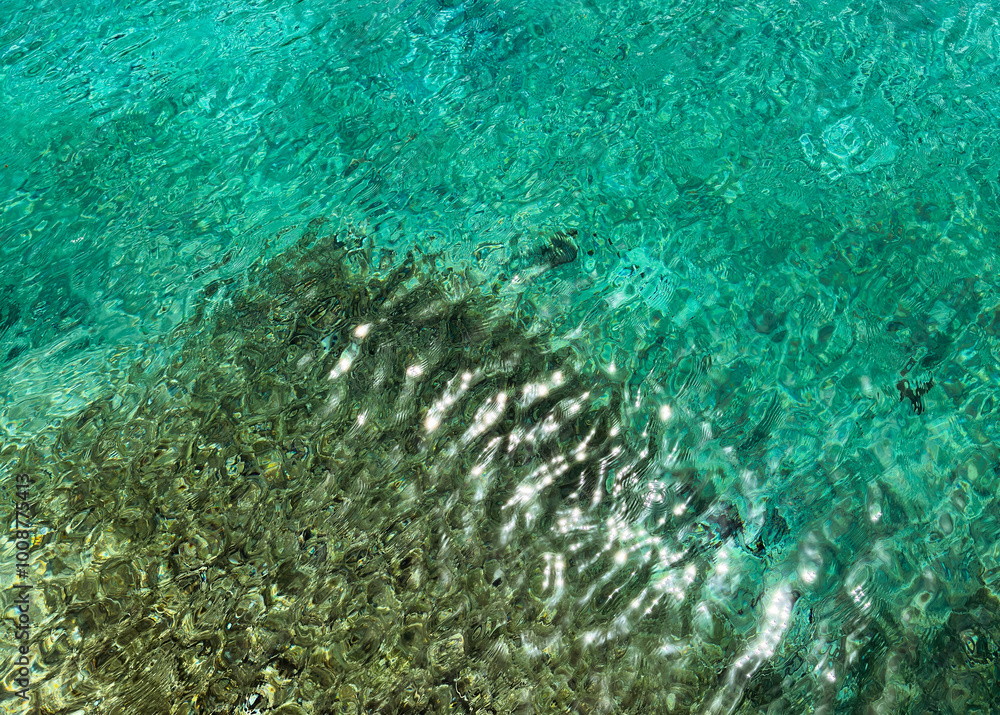 Obraz premium top view of clear turquoise water and lush aquatic plants. waterline. lake water surface