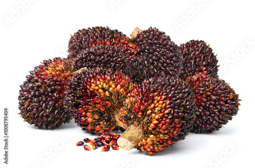 Pile of fresh palm oil bunch isolated on white background.