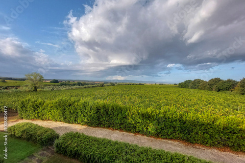 vigneti in toscana verde e azzurro