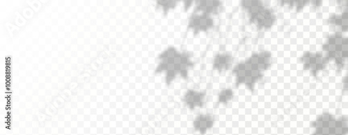 Glare from the sun's rays on the wall. Blurred shadows from leaves and plants in the room. Soft overlay of natural light. 