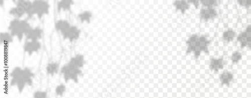 Glare from the sun's rays on the wall. Blurred shadows from leaves and plants in the room. Soft overlay of natural light. 