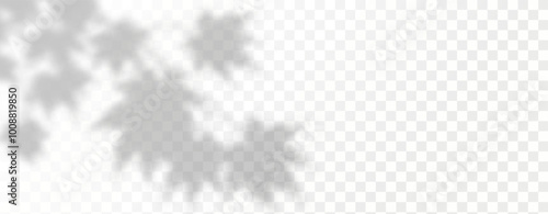 Glare from the sun's rays on the wall. Blurred shadows from leaves and plants in the room. Soft overlay of natural light. 