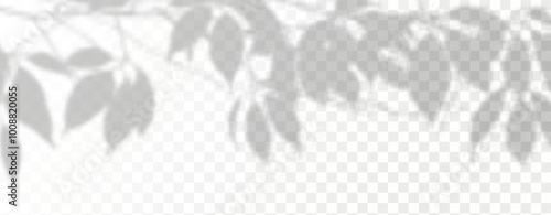 Glare from the sun's rays on the wall. Blurred shadows from leaves and plants in the room. Soft overlay of natural light. 