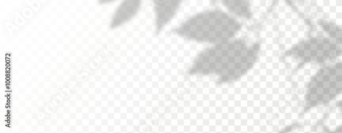 Glare from the sun's rays on the wall. Blurred shadows from leaves and plants in the room. Soft overlay of natural light. 