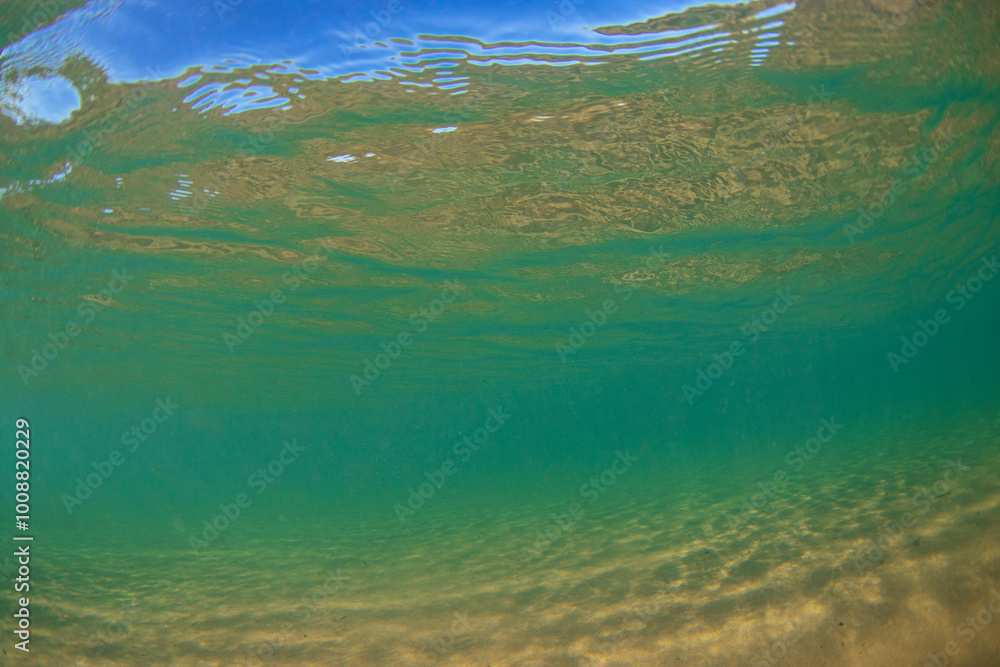 Peaceful underwater view with sand bottom. Peaceful underwater view with sand bottom.