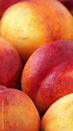 Top view of fresh red yellow peaches with water drops rotate in circle. Harvesting background. Vertical shot