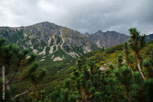 Beautiful mountain landscape with forest and cloudy sky at summer time. Tatras, Slovakia