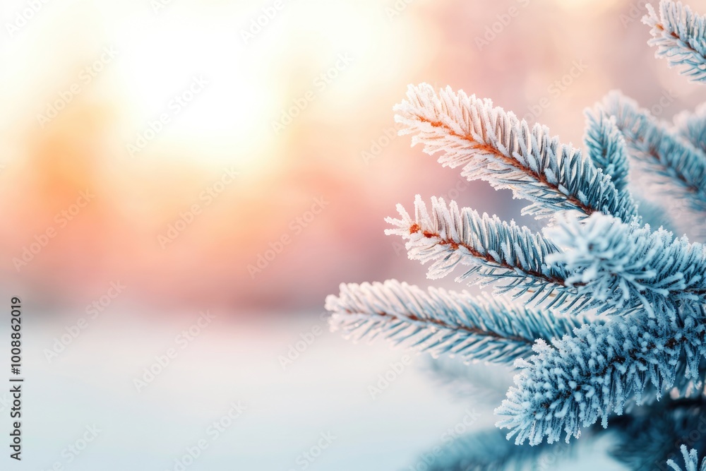Ice-covered pine trees under a soft winter sun, serene and still Winter Ice Serene, Stillness Ice-covered pine trees under a soft winter sun, serene and still Winter Ice Serene, Stillness