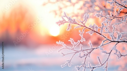 Frosty sunset reflecting off icy trees, warm light contrasting with the cold air Winter Frost Sunset, Beauty