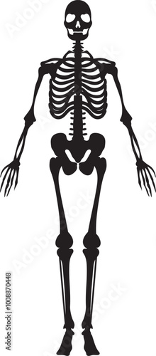 human skeleton silhouettes front and side view isolated on transparent 