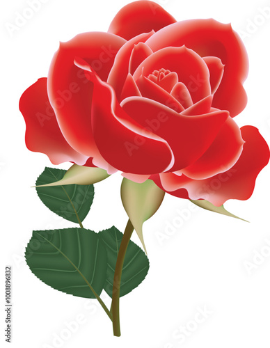 illustration of red rose flower vector design on  a white background photo