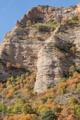 rocks in the mountains with fores in autumn  photo