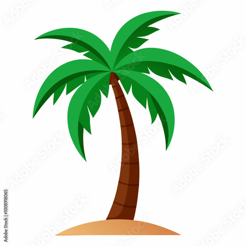 vector illustration of palm tropical tree