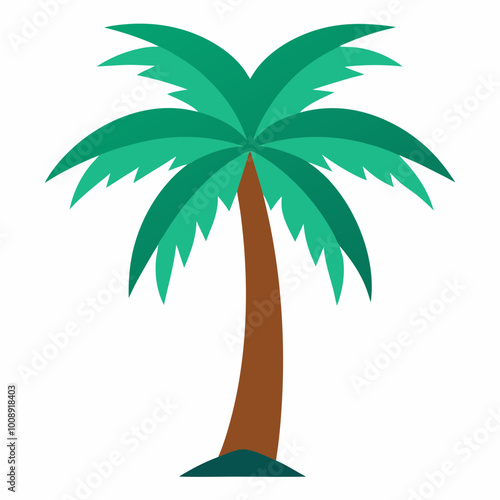 vector illustration of palm tropical tree