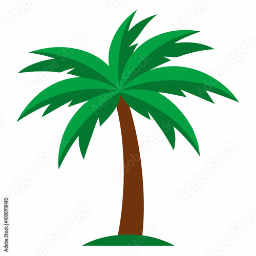 vector illustration of palm tropical tree