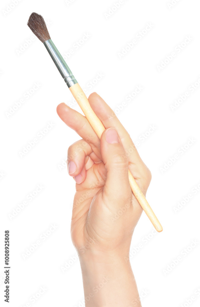 Woman hand holds paint brush, isolated on transparent background, painting and design concept Woman hand holds paint brush, isolated on transparent background, painting and design concept