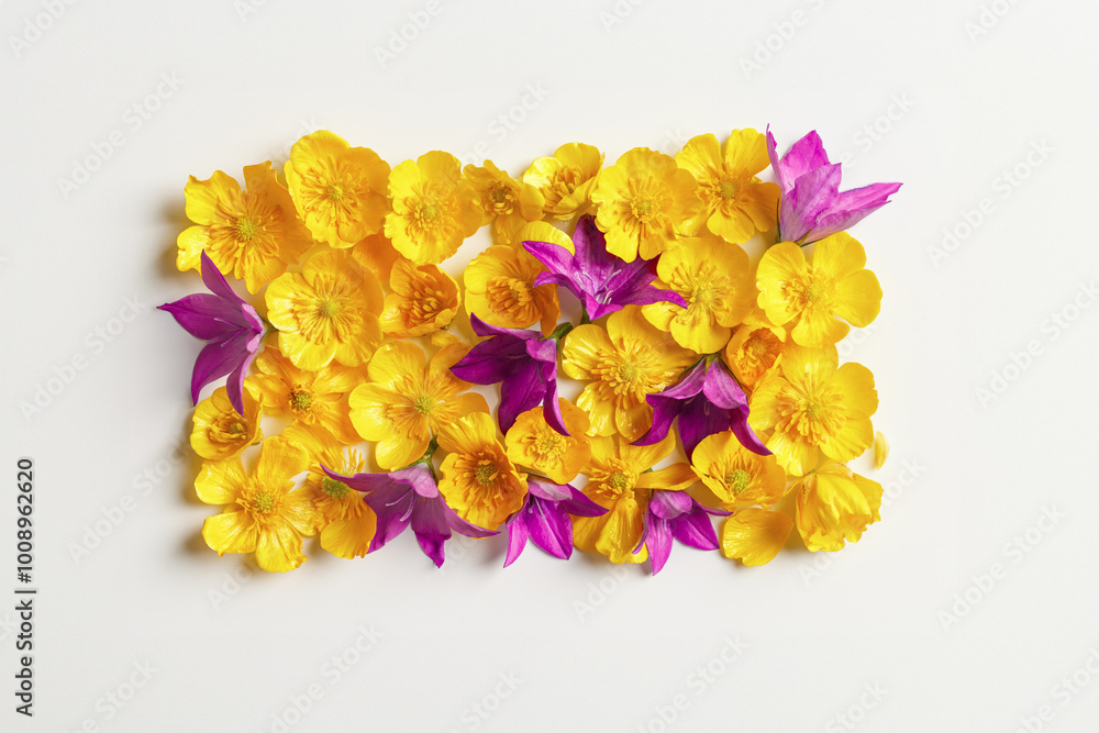Minimal floral pattern of field flowers, top view Yellow purple flower on white background, spring summer season concept, creative flat lay beauty nature, blooms texture, florals design, copy space Minimal floral pattern of field flowers, top view Yellow purple flower on white background, spring summer season concept, creative flat lay beauty nature, blooms texture, florals design, copy space