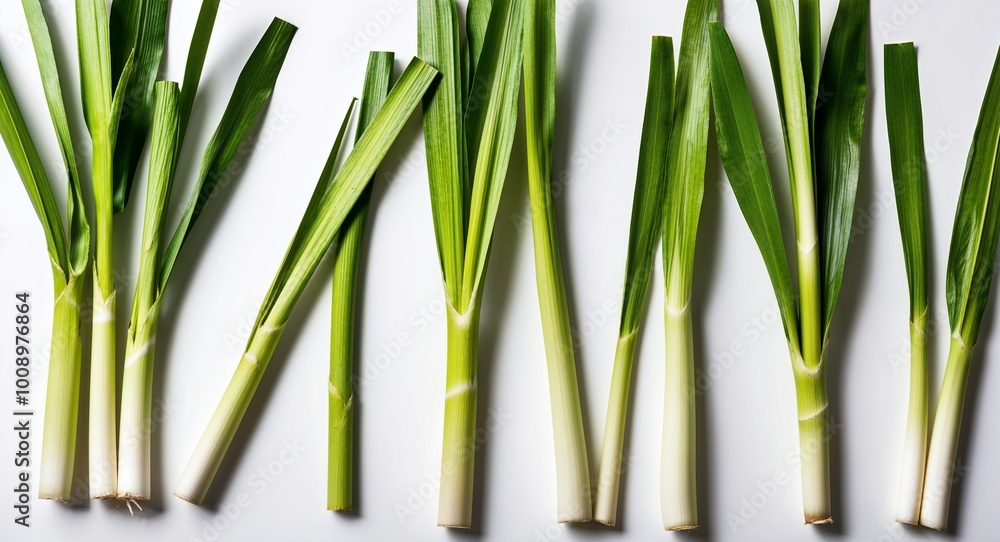 Fototapeta premium Detailed closeup of fresh lemongrass leaves against a clean white backdrop