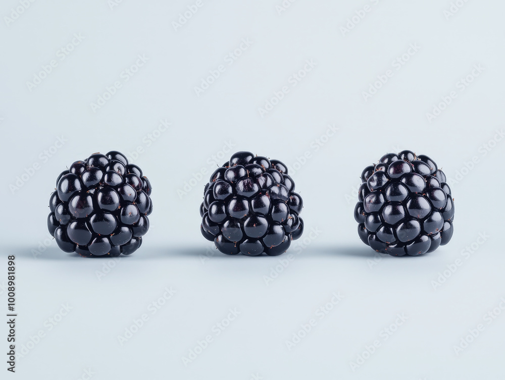 Single Ripe Blackberry on Light Background Single Ripe Blackberry on Light Background