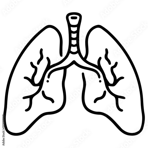 Lungs