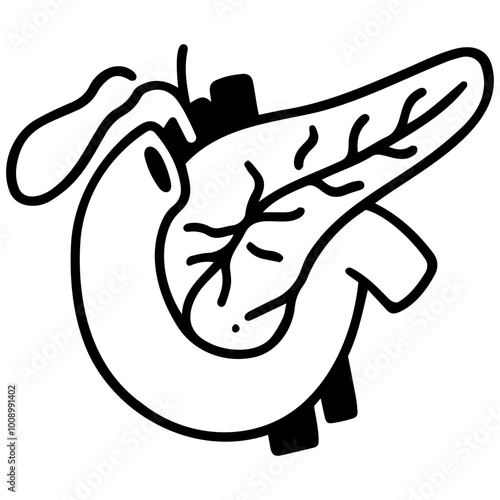 Pancreas