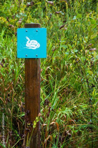 A caution sign warning, Watch out for snakes, stands against the dramatic green lush backdrop