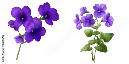 
A vibrant violet isolated on transparent PNG.