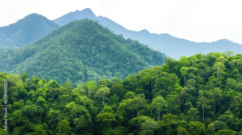 Isolated Majestic Forest Mountain from Thailand, showcasing vibrant greenery and rugged peaks against a clean, white backdrop, symbolizing untouched natural beauty and serenity.