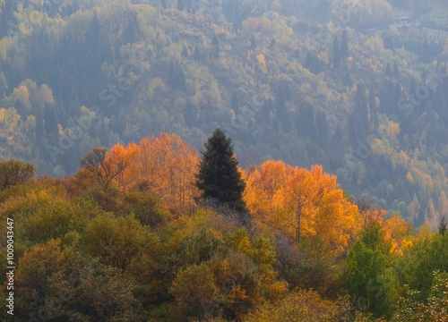 Beautiful autumn mountains with forest in Almaty, Kazakhstan. Small Almaty Gorge