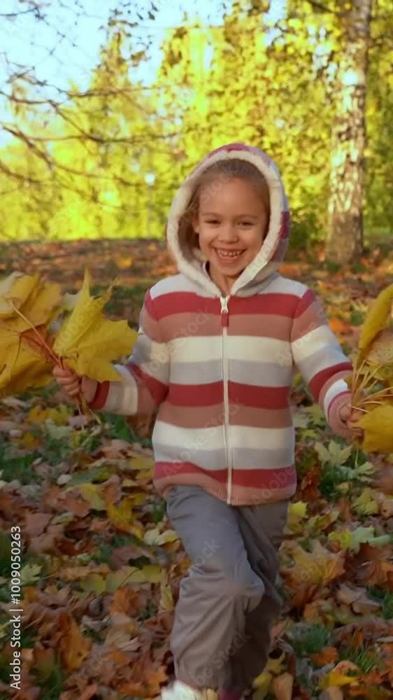 Camera movement on happy girl runs and laughs with bouquet of maple leaves in autumn park at sunset. Child plays active games outdoors. Vertical shot Camera movement on happy girl runs and laughs with bouquet of maple leaves in autumn park at sunset. Child plays active games outdoors. Vertical shot