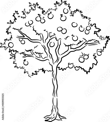 Sketch Orange tree